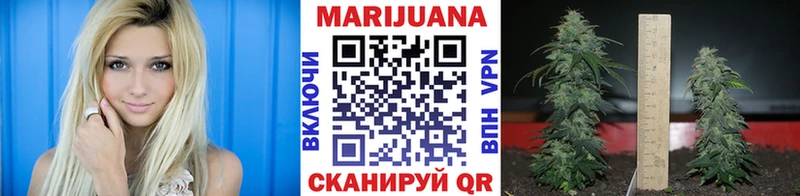 Шишки марихуана семена  как найти закладки  Артём 